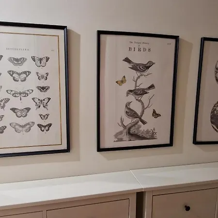 Riper - Pet Friendly 3 Hab Wifi - Vut-5794-as