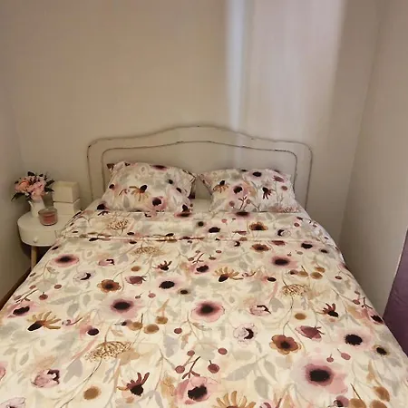 Appartamento Riper - Pet Friendly 3 Hab Wifi - Vut-5794-as