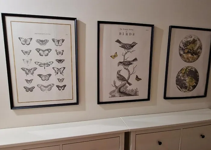 Riper - Pet Friendly 3 Hab Wifi - Vut-5794-as