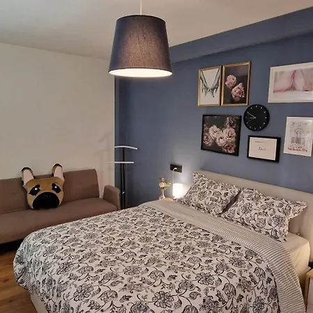 Riper - Pet Friendly 3 Hab Wifi - Vut-5794-as *